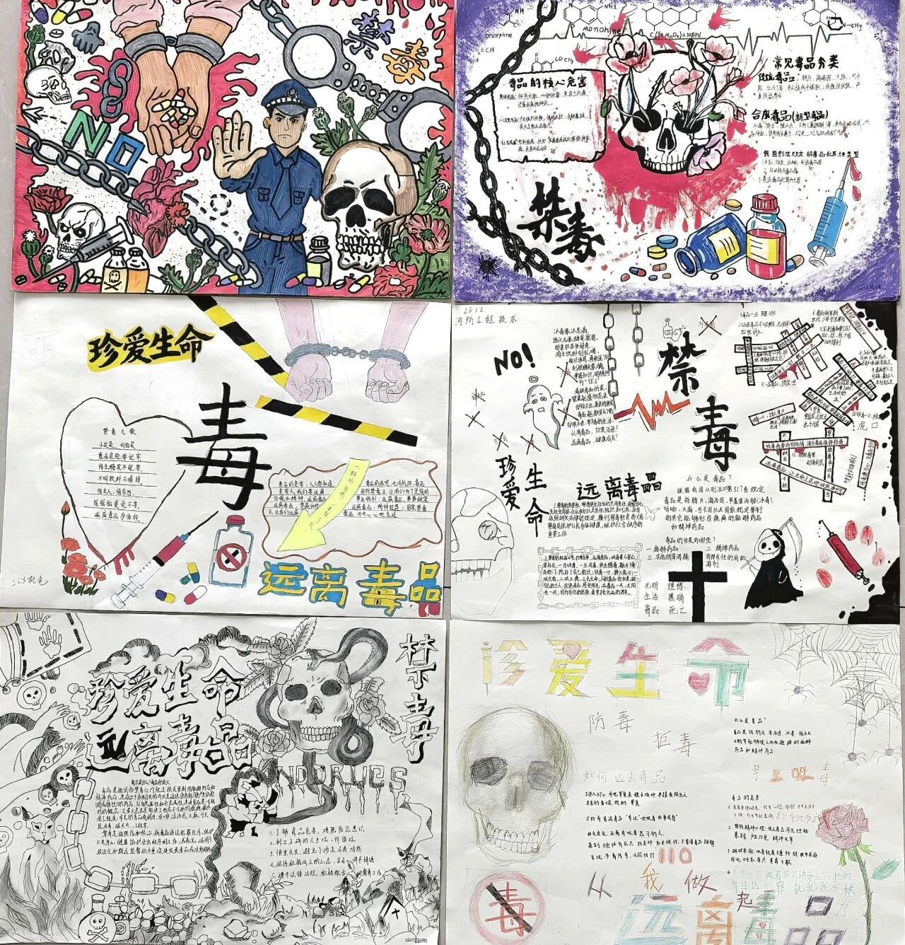 青春拒毒 向阳而行 | 甘肃北方技工学校禁毒宣传教育活动