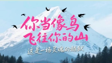 书韵校园・师者荐书 | 《你当像鸟飞往你的山》